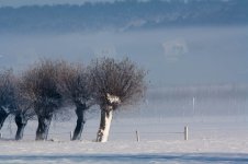 IMG_3482.jpg