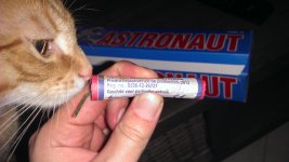 Astronaut2012.jpg
