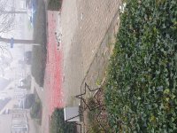 20200101_120559.jpg