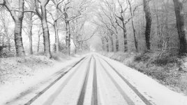 IMG_8661.jpeg