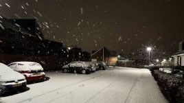 IMG_8729.jpeg