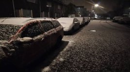 IMG_8730.jpeg