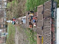 IMG_20230101_102325.jpg
