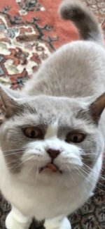 IMG_6933.jpeg