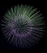 IMG_8772.jpeg