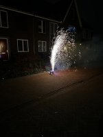 IMG_8476.jpeg