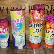 SPRING JOY