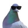 Fuifduif